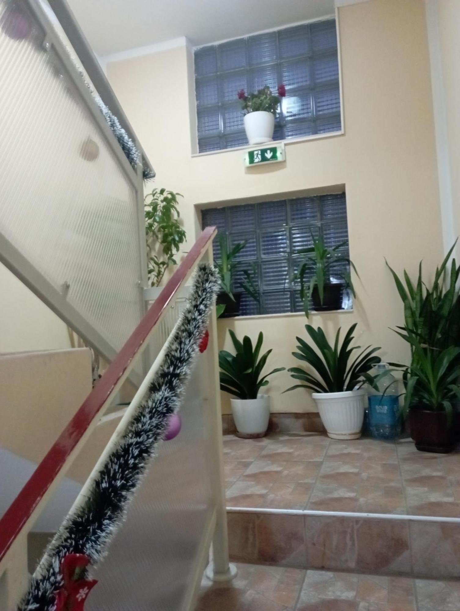 Apartments & Rooms -Mdl Lazic Belgrado Esterno foto